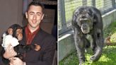 Alan Cumming's Missing Chimpanzee Costar from Buddy Found Alive in Basement and Moved to Rescue