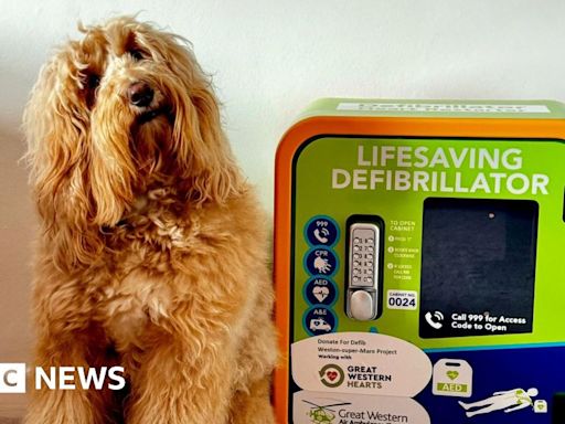 Dog helping to saves lives as a defib mascot in Weston-super-Mare