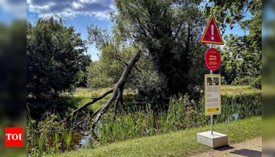 Historic Unesco world heritage park in Germany faces climate change wrath - Times of India