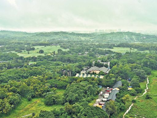 Aarey: A green that’s fading