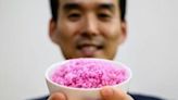 ‘Meaty rice’? South Korean professor aims to change global protein | FOX 28 Spokane