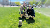 Owl saved after becoming trapped in soccer net in Davis County