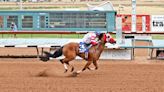 Odds, storylines for Rainbow Derby, Rainbow Futurity weekend at Ruidoso Downs