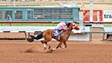 KJ Desparado wins Ruidoso Derby for sixth straight victory