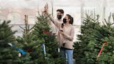 There's no Christmas tree shortage this year despite Canada's record wildfire season, 2 experts say