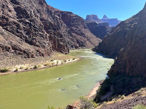 Hiker found dead after camping at bottom of Grand Canyon