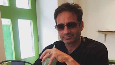 David Duchovny Reveals How One Bad Movie Changed His Preception About Negative Reviews; See Here