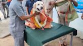 WATCH: Sniffer dog retires after 12 years of service, Telangana Police honor her with ceremonial send-off