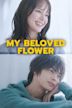 My Beloved Flower