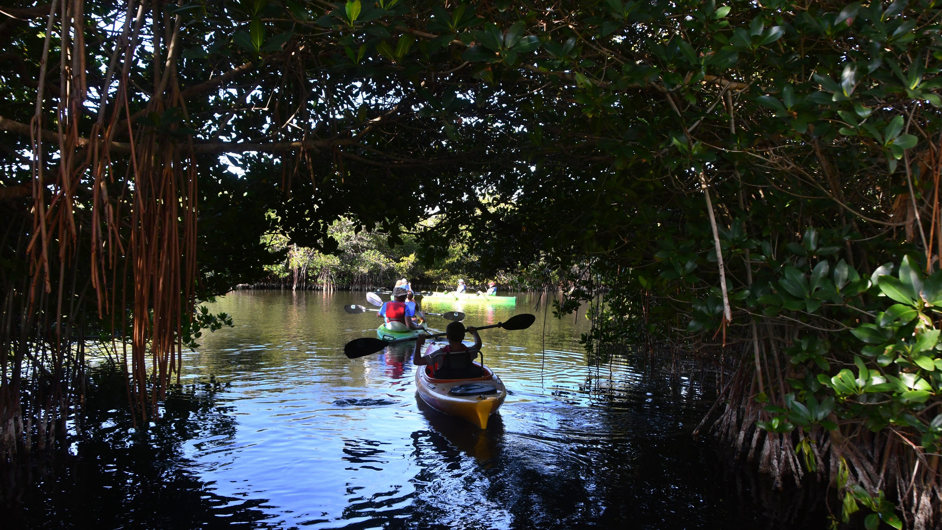 Free admission to Florida state parks? Tax free concert tickets? What you need to know