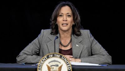 Democrats betting on Harris to win Georgia after fearing it was a lost cause under Biden