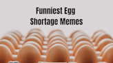 Scrambling Because of the Egg Shortage? Here Are 20 Funny Memes to Tide You Over (Easy)