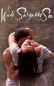 Wide Sargasso Sea (1993 film)