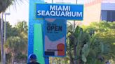 Miami Seaquarium stays open on day its lease with Miami-Dade ends; animal rights activists call for park’s closure - WSVN 7News | Miami News, Weather, Sports | Fort Lauderdale