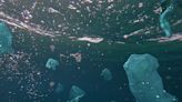 ‘First-of-its-kind’ technology turns ocean pollutant into seashell dust: ‘[It’s] the most promising solution’