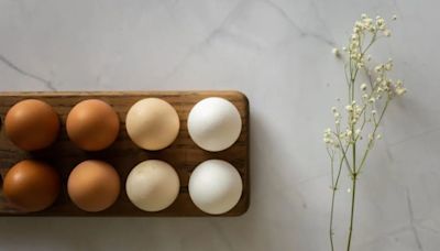 Los tipos de huevo que conviene comprar según el color de su cáscara y qué diferencias hay entre ellos
