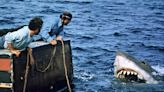 When 'Jaws' was filming in MA years ago the set was plagued by disaster. Here's a list