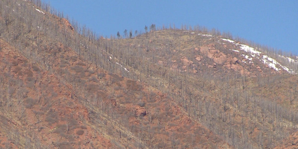 Wildfire mitigation specialist said Colorado Springs and Boulder are the highest wildfire risk areas in the state of Colorado