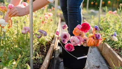 South Carolina flower farmers form new co-op