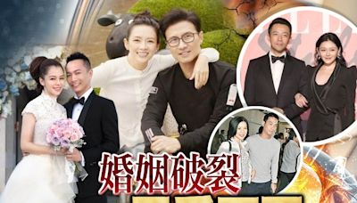 娛圈多婚變！章子怡汪峰夫妻情不再 大S汪小菲愛恨糾纏不清