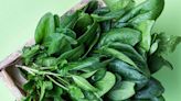 6 Impressive Health Benefits of Spinach, the Original Favorite Super-Green