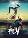 Fly