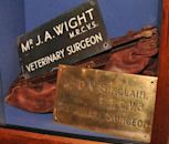 Donald Sinclair (veterinary surgeon)