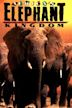 Africa's Elephant Kingdom