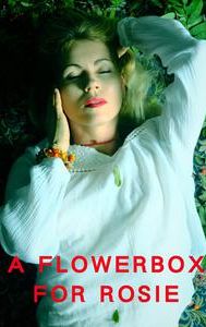 A Flowerbox For Rosie