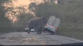 Moment elephant uses trunk to flip truck in Thailand