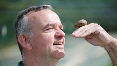 Monaghan farmer plays matchmaker with ‘lonely hearts’ snails