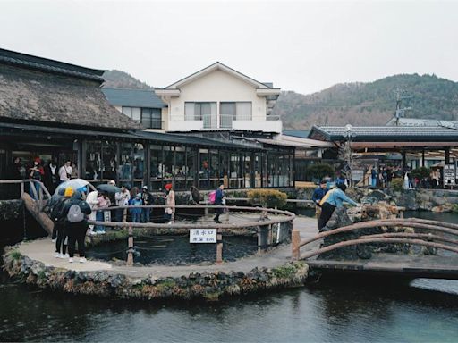 去富士山忍野八海「做這事」會芭比Q！抓到罰百萬日圓