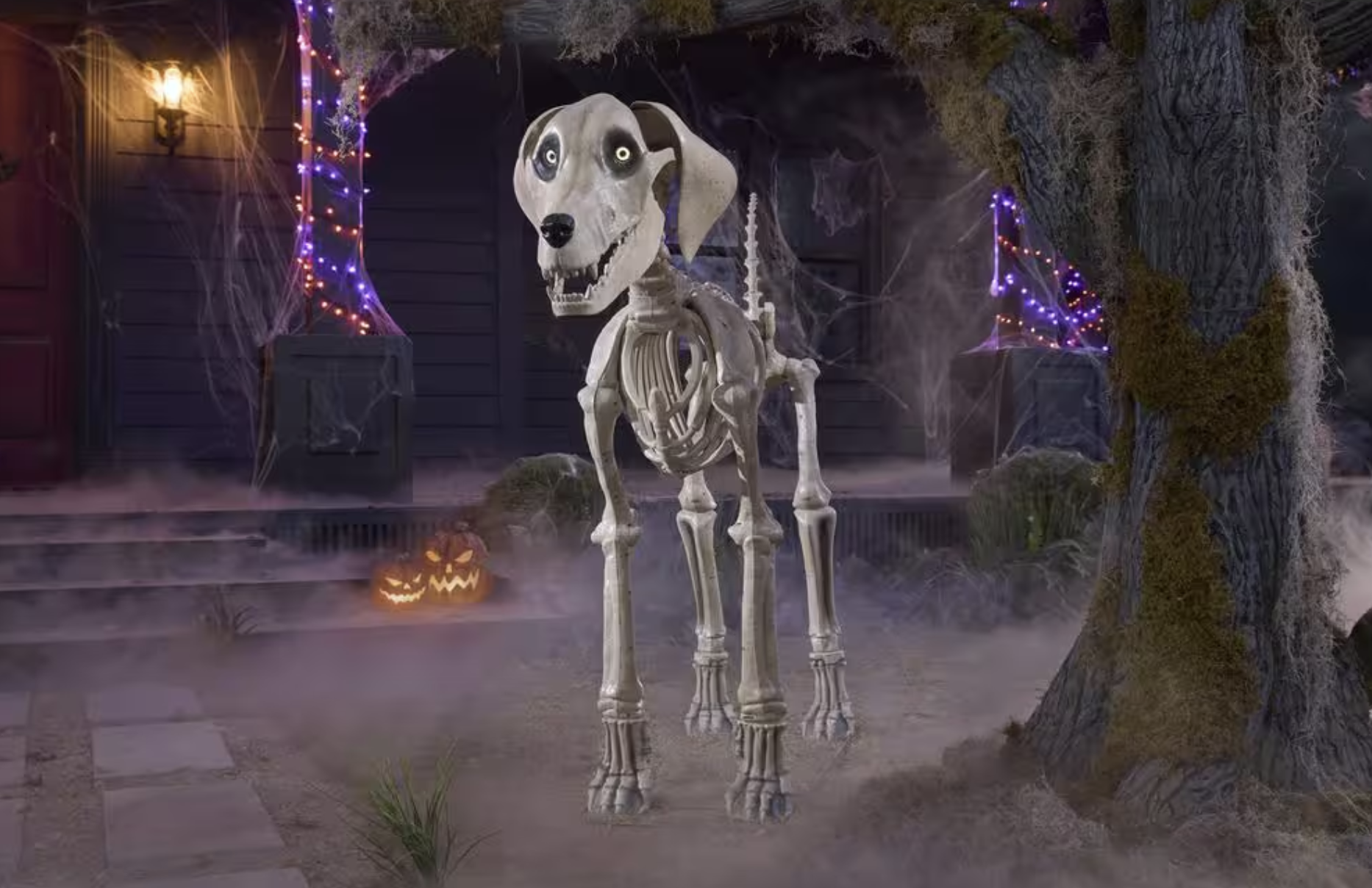 Skelly, Home Depot's 12-foot skeleton, gets a dog — and he’s a very good boy