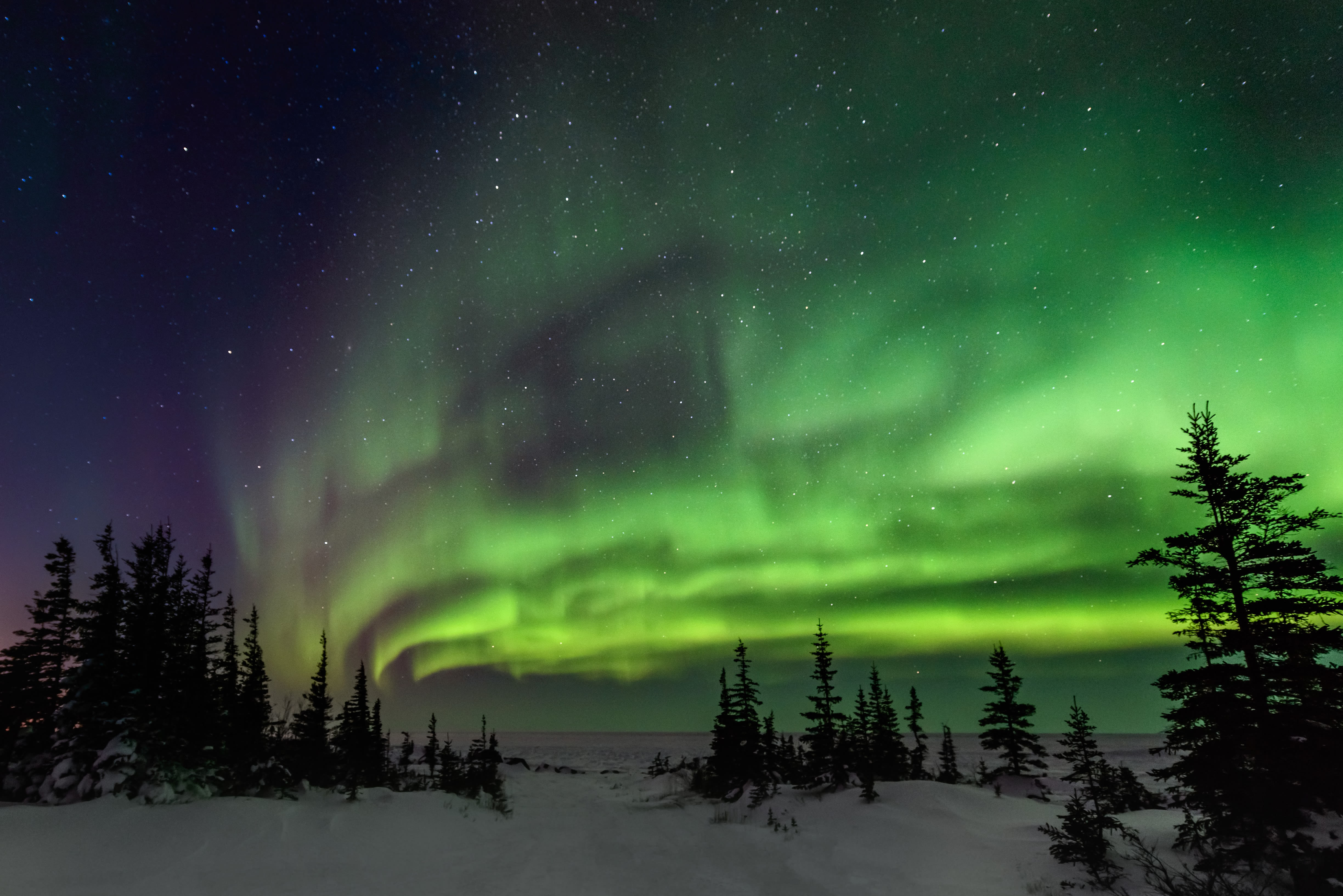 Northern lights could be visible across the U.S. this weekend because of a severe geomagnetic storm. Here's how you could see it.
