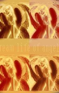 The Dreamlife of Angels