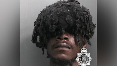 Criminal cover-up: offender’s face hidden in bizarre police mugshot