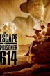 The Escape of Prisoner 614