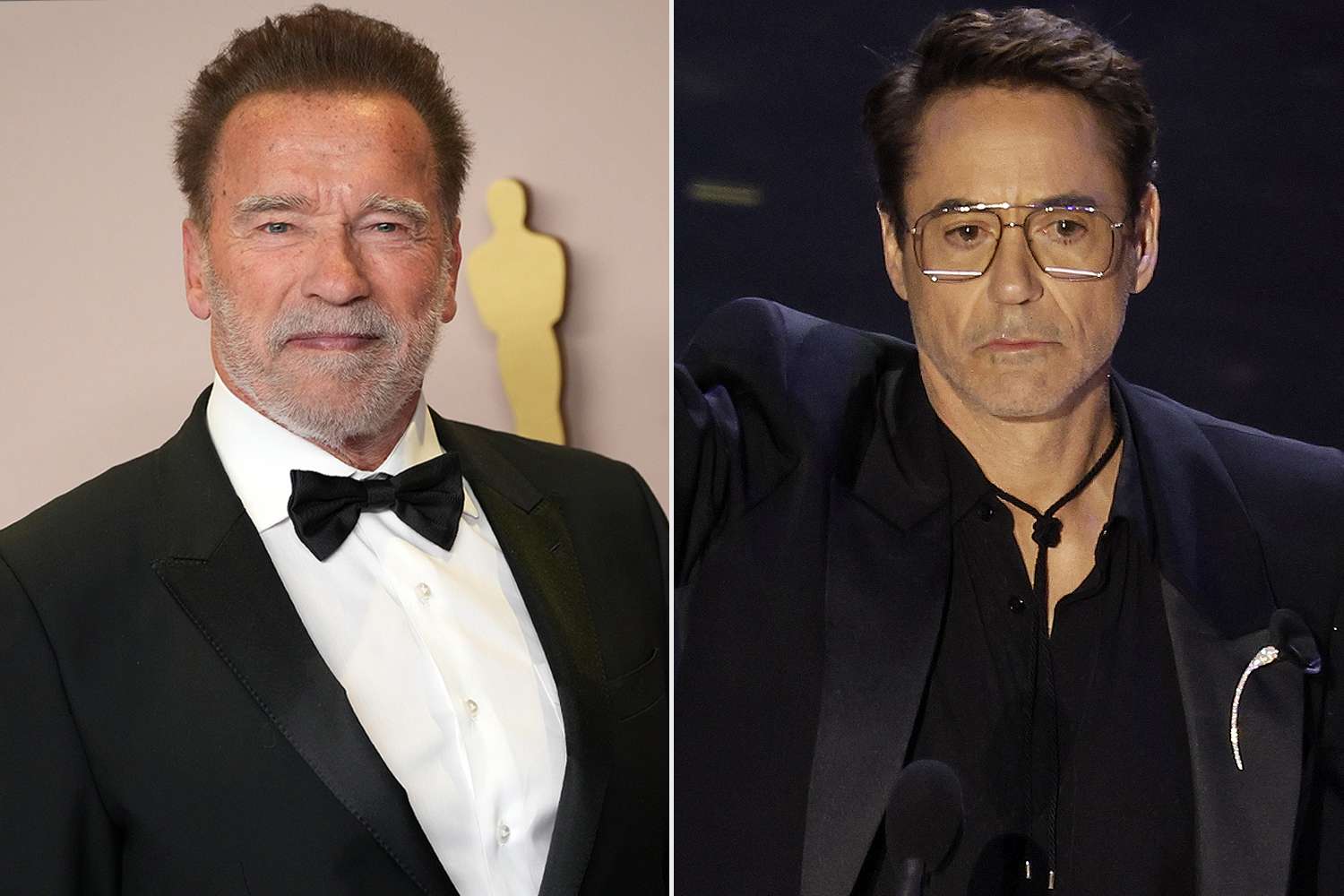 Arnold Schwarzenegger Related to Robert Downey Jr.'s Oscars Speech About a 'Terrible Childhood'