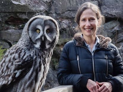 Luz sobre los reyes de la noche: Jennifer Ackerman ilumina la vida y la historia cultural de los búhos