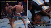 Alex Pereira brutally knocks out Jamahal Hill in the very first round at UFC 300