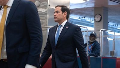 Rubio, Tim Scott would give Trump biggest boost as vice president: Poll