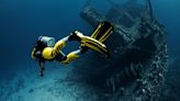 El descubrimiento en las profundidades del animal más raro del mar