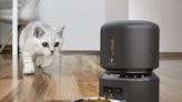 Let These Automatic Pet Feeders Take Care of Feeding Felix and Fido When You Can’t