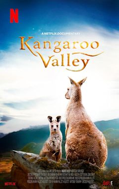 Kangaroo Valley