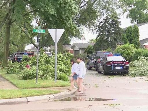 Large tree falls on home in Livonia trapping child amid storm aftermath