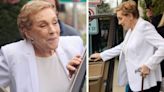 Hollywood legend Julie Andrews makes rare public appearance with walking stick