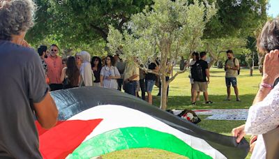 "Sobre esta tierra": un poema y un olivo en la Universidad de Alicante en solidaridad con Palestina