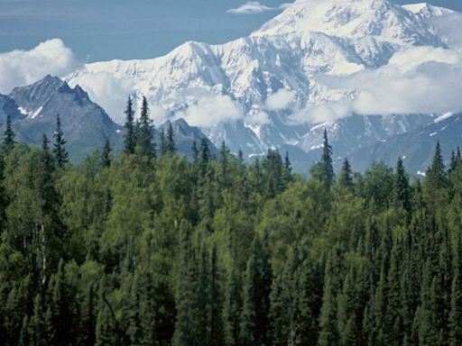 National Park Service denies ordering removal of American flag