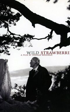 Wild Strawberries