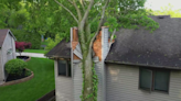 Tree crashes onto family's house, splits chimney during storms in Northwest Indiana